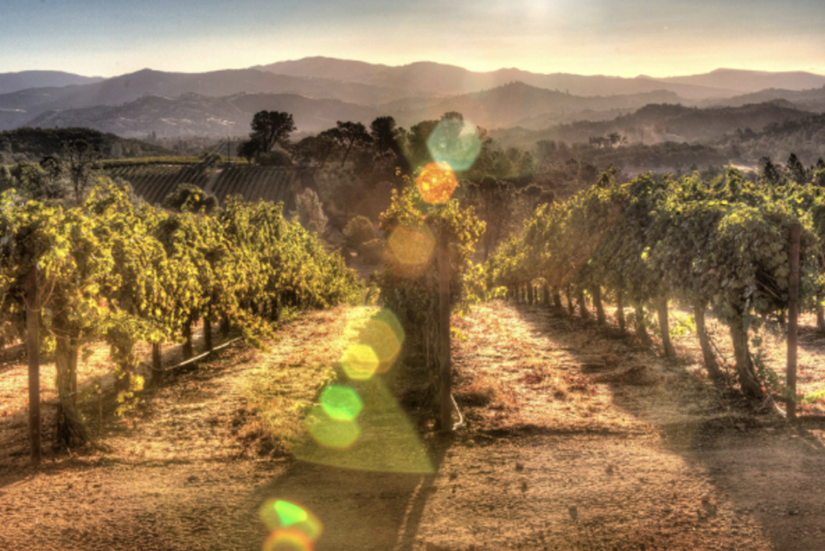 Day Trip to Lake County